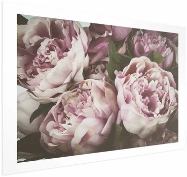 Artgeist Plakatas - Rožinė Peonies