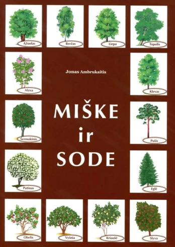 Miške ir sode