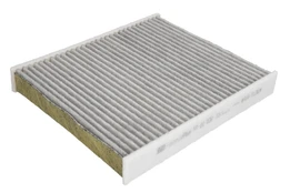 Salono filtras MANN-FILTER FP 22 032 kaina