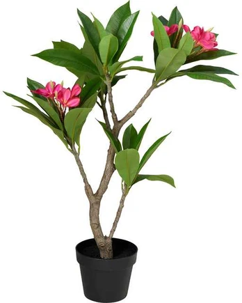 Dirbtinis vazoninis frangipani medis, 50 x 90 cm
