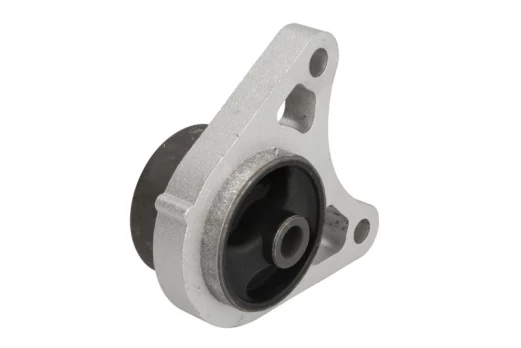 DELPHI TEM194 Rear axle brackets