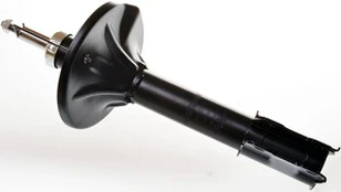 Amortizatorius DENCKERMANN DSB223G
