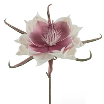 Dirbtinė gėlė Flore 65, balta sp./rožinė sp., 65 cm