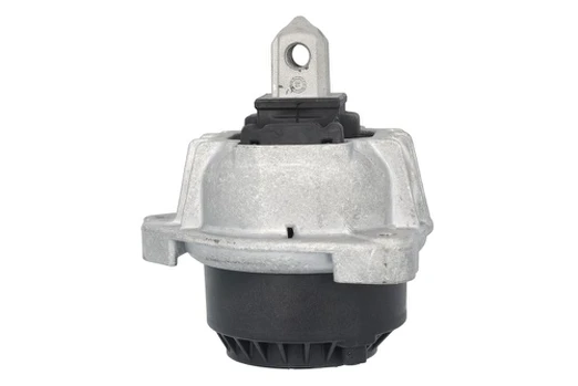 Variklio montavimas TEDGUM TED86750