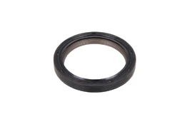 REINZ 81-40697-00 Crankshaft seal kaina
