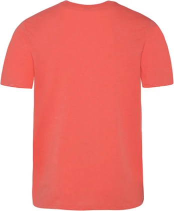 No Name Koszulka męska Protest PRTARMANN t-shirt M