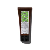 Davines Renewing Atnaujinantis kondicionierius, 60ml kaina