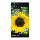 GLEŽNOJI SAULĖGRĄŽA CHOCO SUN kaina