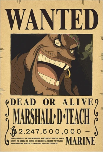Plakatas One Piece
