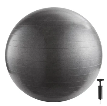 Gimnastikos kamuolys 65cm, su pompa
