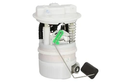 DELPHI FG2356-12B1 Electric fuel pump kaina