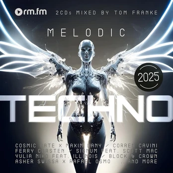 Vinilinė plokštelė Melodic Techno 2025