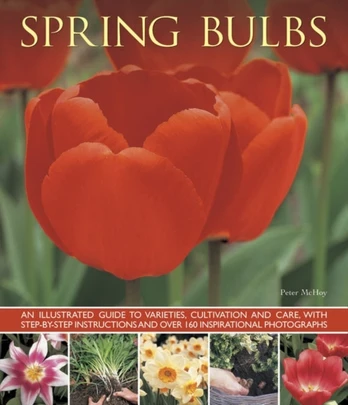 Spring Bulbs