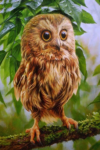 Deimantinis paveikslas Owl Mickie WD246 20*30 cm