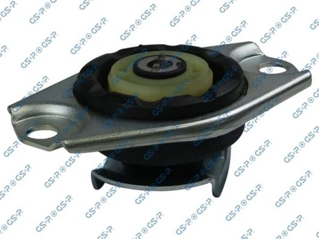 Variklio montavimas GSP 532899