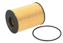 Alyvos filtras FILTRON OE669/1 kaina