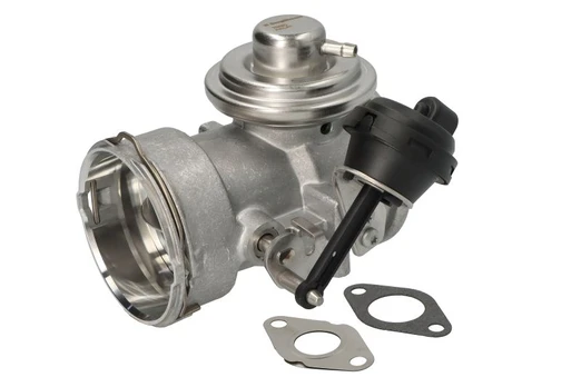 EGR vožtuvas BORG WARNER WA7649D