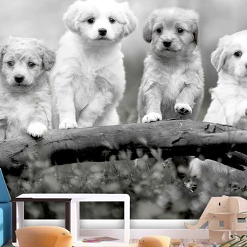 Artgeist Fototapetas - Four Puppies