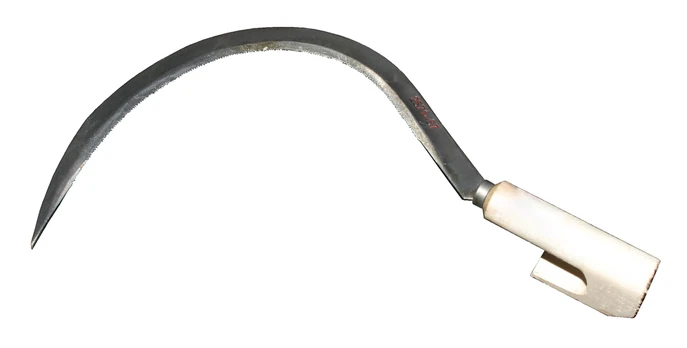 Besk Serpantai 53cm