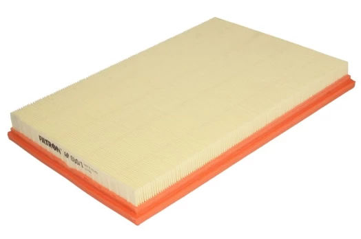 Oro filtras FILTRON AP030/1