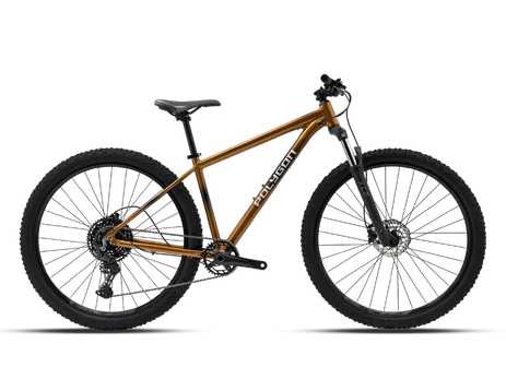 Dviratis 27.5" POLYGON CASCADE 5 rudas - xs