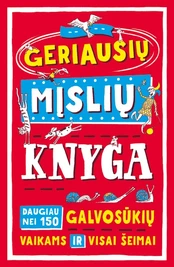 Geriausių mįslių knyga kaina