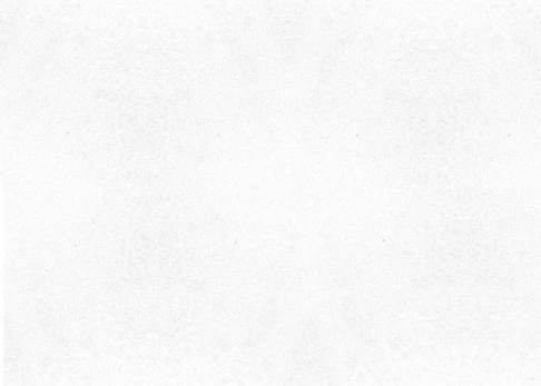 Lubų plokštė AMF PLAIN (Schlicht), mineralinė, THERMATEX, KNAUF