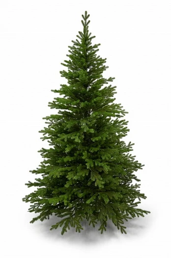 Dirbtinė kalėdinė eglutė premium spruce 100% pe, 280 cm