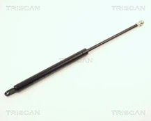 TRISCAN 87102002 Dujinė spyruoklė, gaubtas