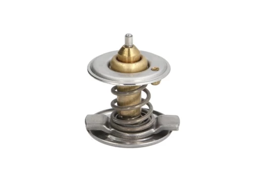 termostatas, aušinimo skystis THERMOTEC D2M001TT