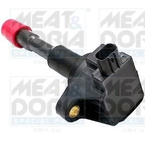 Ritė, uždegimas MEATDORIA 10581
