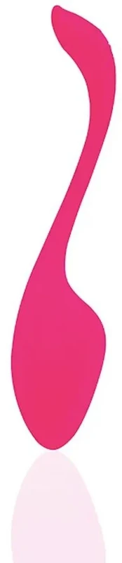 Kegelio vibratorius