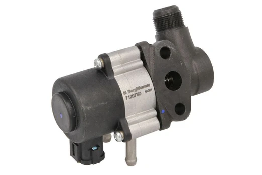 EGR vožtuvas BORG WARNER WA712073D