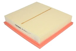 Oro filtras FILTRON AP170/6 kaina