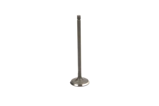FRECCIA 6560/SNT Inlet valve