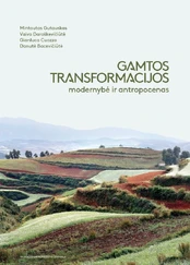 Gamtos transformacijos: modernybė ir antropocenas kaina