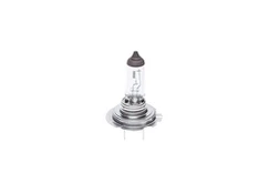 BOSCH lemputė 1987302091 64180L kaina