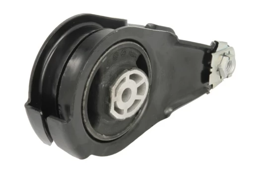 Variklio montavimas SASIC 2700022
