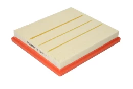 Oro filtras FILTRON AP152/3 kaina