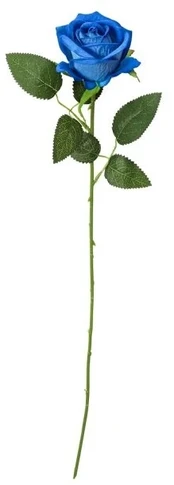 Hisabjoker Ab Mėlyna rose, 50 cm