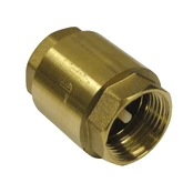 Atbulinis vožtuvas Master Pumps, 1" kaina