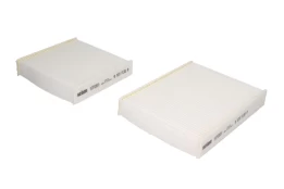 Salono filtras PURFLUX PX AH245-2 kaina