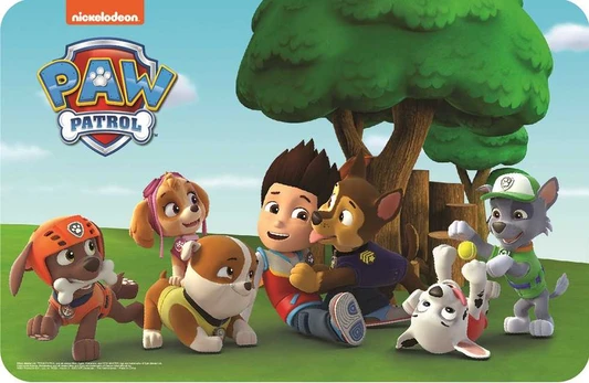 Paw Patrol kilimėlis 43x28 cm