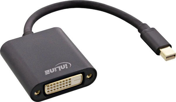 Adapteris AV InLine DisplayPort Mini - DVI-D juoda (17194S)