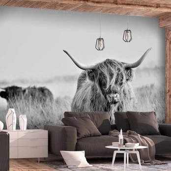 Artgeist Fototapetas - Highland Cattle