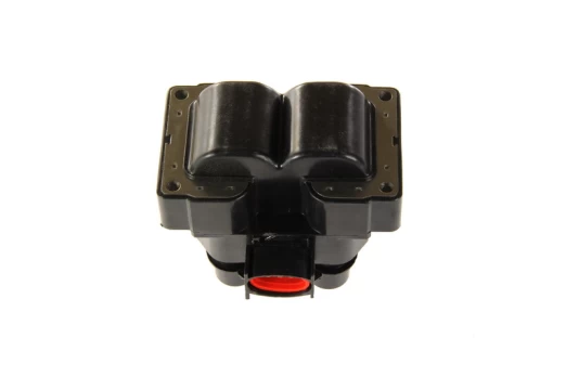 Ritė, uždegimas MAGNETI MARELLI 060717036012