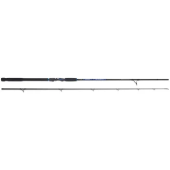Meškere AQUANTIC Salt Shad² ilgis 255 cm testas 90g