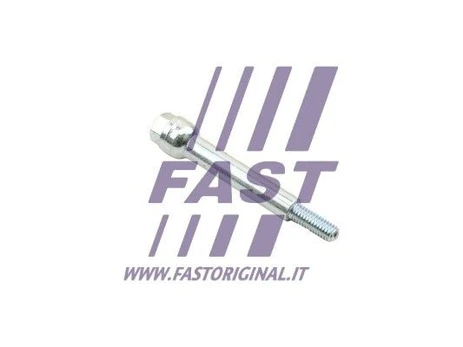 Varžtas, išmetimo sistema FAST FT84538
