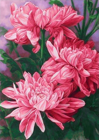 Deimantinis paveikslas Daisies WD025 27*38 cm