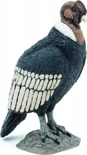 Figūrėlė Hasbro Kondor